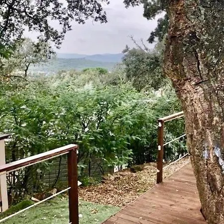 Near St Tropez, Port Grimaud & *