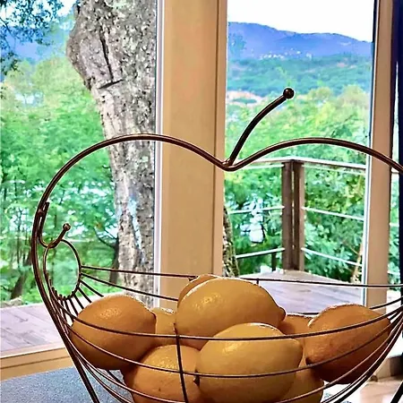 Near St Tropez, Port Grimaud & Apartment *