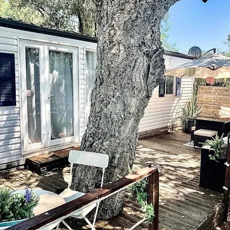 Near St Tropez, Port Grimaud & Gassin